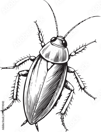 Cockroach Pest, Extermination, Black and White Vector Illustration, Sketch Drawing Line Linear Symbol Icon Engraving, Hand-drawn Isolated