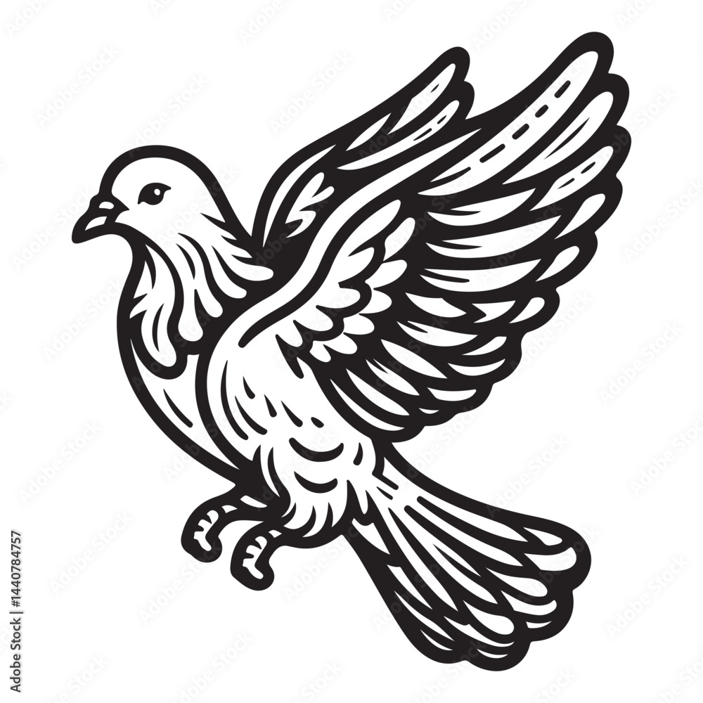 Vector Lines of a Pigeon