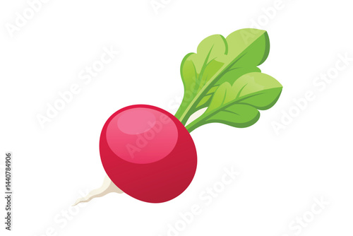 radish isolated on white background