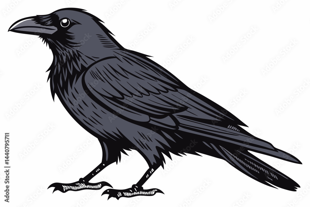 Fototapeta premium raven on white background