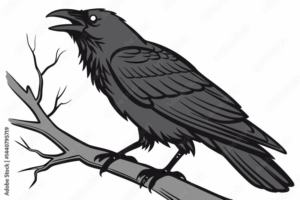 Obraz premium raven on a white background