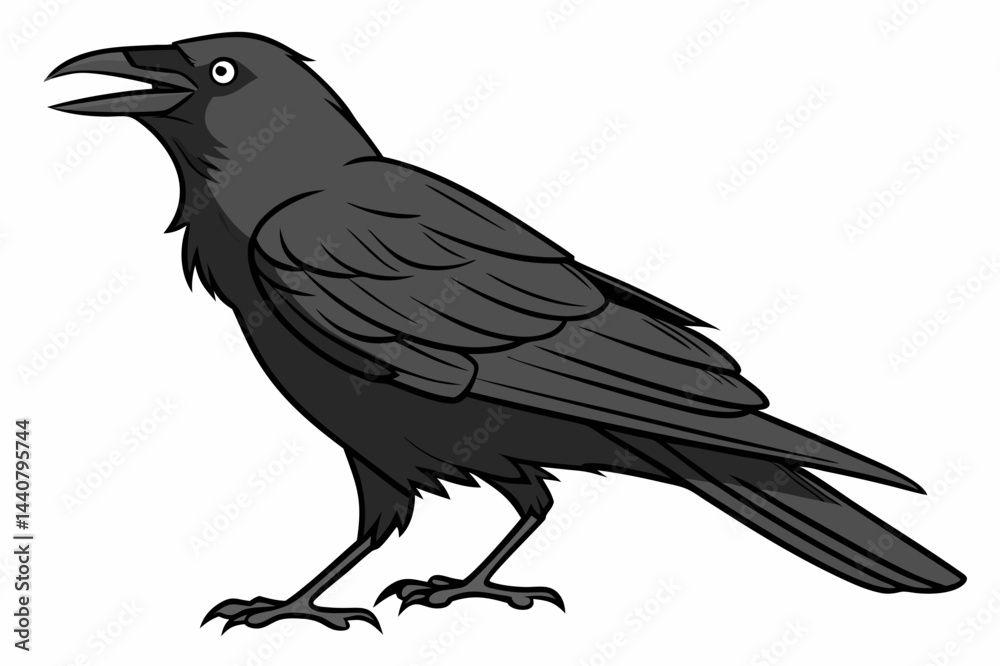 Fototapeta premium raven on white background