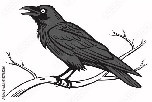 raven on a branch