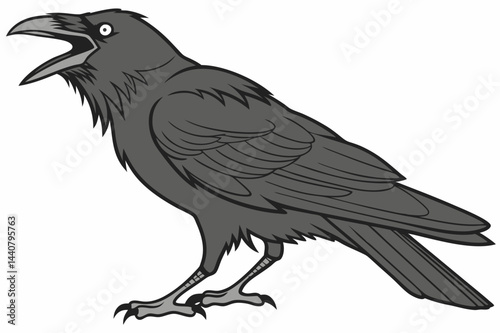 raven on white background