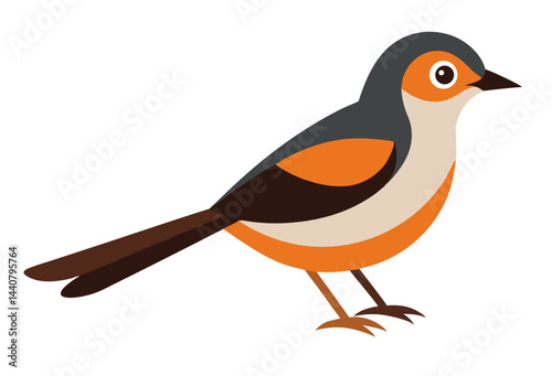 vector illustration of a bird