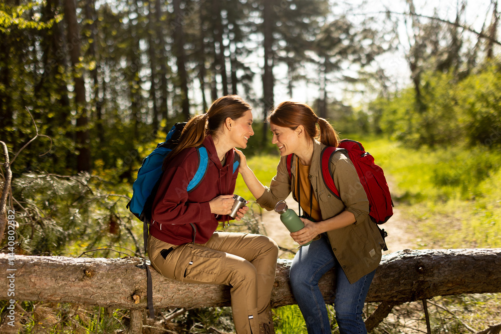 Friends sharing laughter and memories during a sunny hiking adventure in the heart of lush green woods Friends sharing laughter and memories during a sunny hiking adventure in the heart of lush green woods