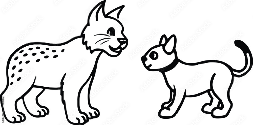 Fototapeta premium a-bobcat-befriends-a-lost-puppy-how-do-they-commun.eps
