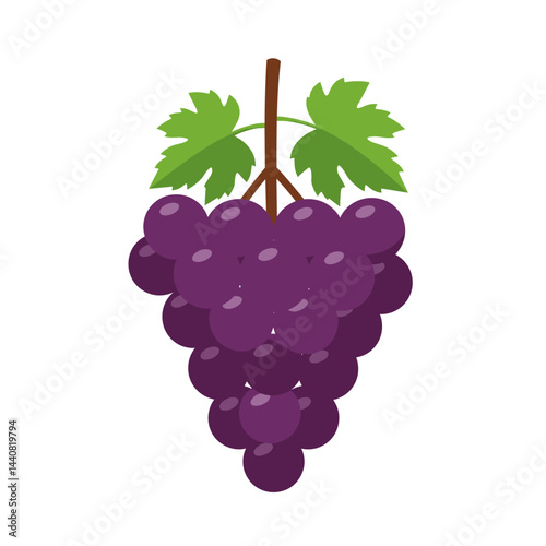 Grape Cluster: A vibrant illustration of a ripe, luscious cluster of grapes. Evokes the essence of harvest season and freshness.