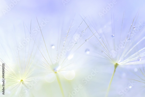 close-up of a dandelion exhibiting a dreamy and delicate look, highlighting the intricate macro details of its white, fluffy seeds and abstract natural texture.