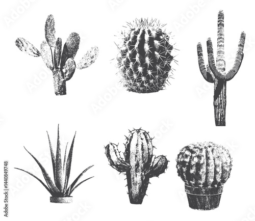 different cactuses with monochrome vintage photocopy effect, y2k collage design. Retro halftone stipple design elements.  Vector drawing for a weird, grunge, punk poster