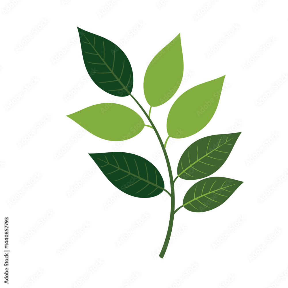 Obraz premium green leaf icon - Vector. with a white background