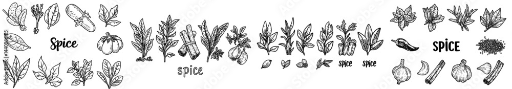 A collection of herbs and spices, including basil, garlic, chili, cinnamon, and other ingredients used in cooking, featuring fresh leaves and dried seeds in a flat modern illustration