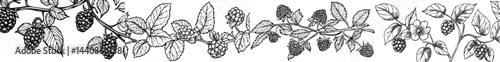 A repeating pattern design featuring blackberries and leaves in black and white silhouette, ideal for botanical and nature themes