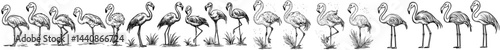 A compilation of flamingo outlines displaying diverse postures and aesthetics, perfect for tropical or wildlife-inspired designs
