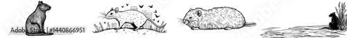 A minimalist design featuring a black silhouette of a mouse highlights its distinctive characteristics, including ears, tail, and furry body