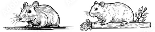 The black profile of a mouse with distinctive whiskers and a lengthy tail, great for various graphic purposes