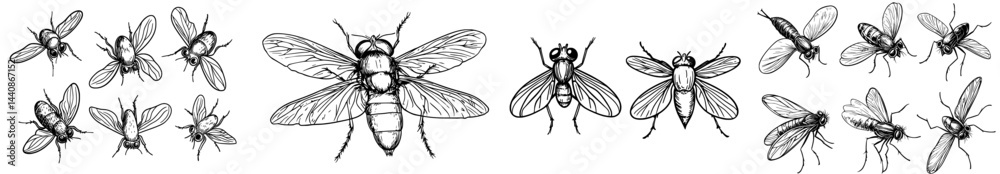 Obraz premium A compilation of bee outlines displaying different poses and angles, perfect for graphic design and illustration tasks