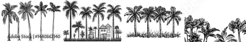 A set of palm tree outlines on a white backdrop, ideal for designs and artwork with a tropical twist and summer vibe