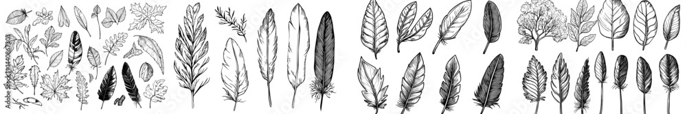 A compilation of dark feather silhouettes in diverse forms, highlighting complex patterns ideal for adornment and creative applications A compilation of dark feather silhouettes in diverse forms, highlighting complex patterns ideal for adornment and creative applications