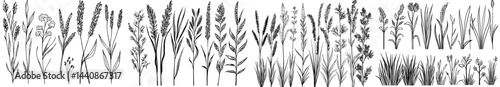 A compilation of dark outlines of assorted grasses and wildflowers, ideal for use in botanical artwork or as design components