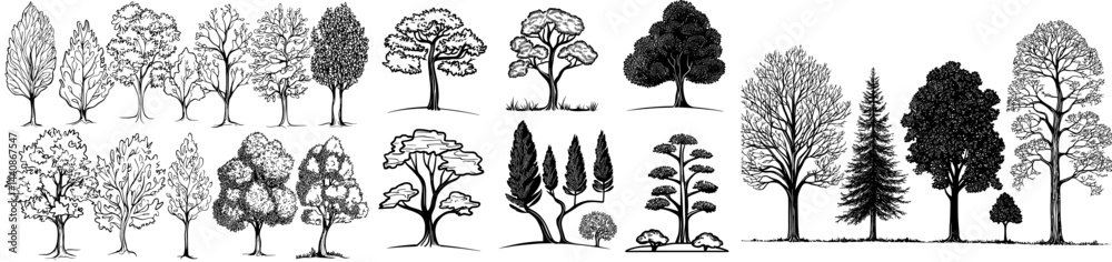 Fototapeta premium A diverse array of tree silhouettes representing different species, perfect for designs and projects centered around nature and the environment