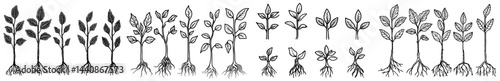 A compilation of silhouettes showcasing diverse plants and vegetables, perfect for botanical and gardening design concepts