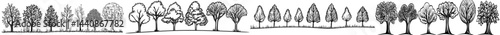 A horizon with trees silhouetted against it, perfect for designs or projects focused on nature or the environment