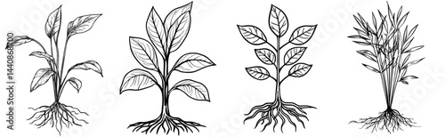 A stylized black outline of a youthful plant featuring leaves and roots, representing growth and the natural world