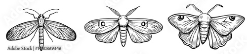 A precise black outline of a butterfly is displayed, highlighting its wings and body composition, perfect for designs centered around nature
