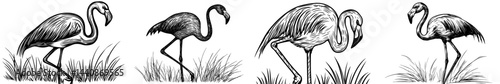 A sleek black outline of a flamingo highlights its distinctive stance and refined characteristics, perfect for designs with a tropical twist