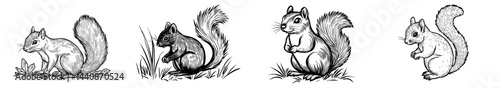 A whimsical outline of a squirrel, highlighting its fluffy tail and endearing characteristics, perfect for nature-inspired designs