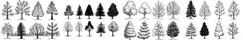 A compilation of diverse tree shapes in black, highlighting various species and forms, perfect for designs centered around nature