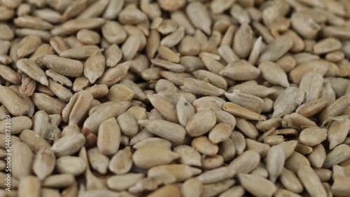 Sunflower seeds spread across a surface, showcasing their natural texture and earthy tones