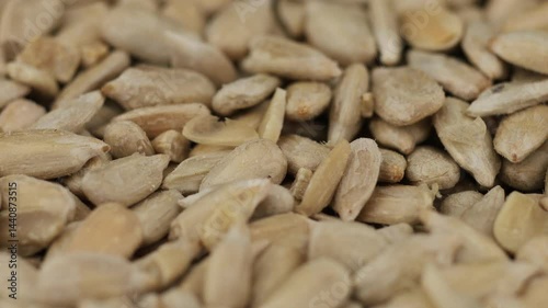 Sunflower seeds in a close-up display highlighting their natural texture and color variations