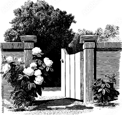 Vintage garden gate with blooming flowers and lush foliage in black and white.