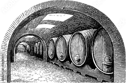 Vintage wine cellar with large wooden barrels in arched stone gallery.