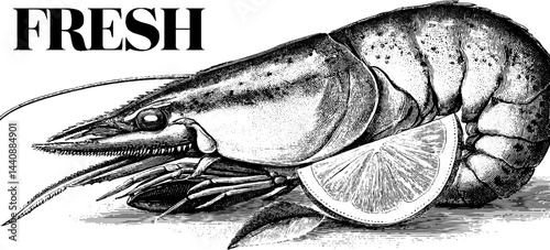 Detailed black and white illustration of fresh shrimp with lemon slice.