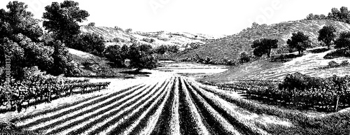 Vintage black and white rural landscape with fields and rolling hills.