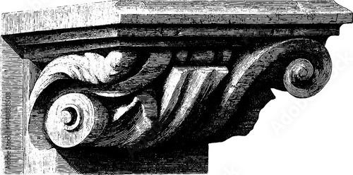 Vintage architectural capital design with intricate swirl and leaf patterns.