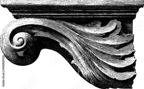 Intricate black and white engraving of a classical decorative scroll element.