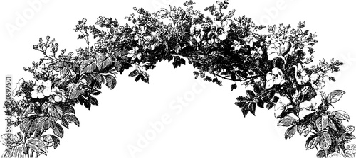Elegant engraved floral archway design for outdoor decor and print.