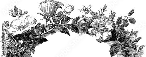 Ornate floral archway engraving for outdoor decor.
