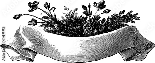 Engraved bridal floral sash illustration. Vintage, elegant design featuring intricate flowers