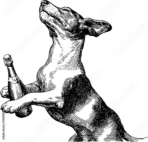 Vintage engraving of a dog resting in a grassy field