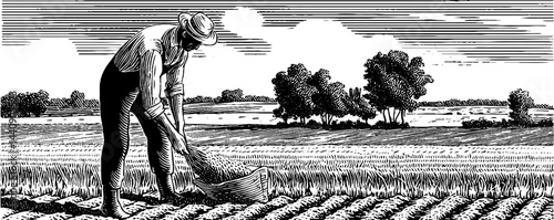 Vintage 1950s woodcut style black and white illustration of a farmer sowing seeds in a rural landscape
