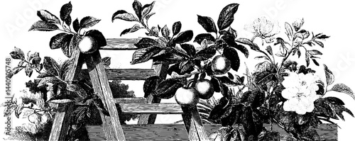 Vintage garden scene with wooden ladder and fruit tree in 1950s woodcut style