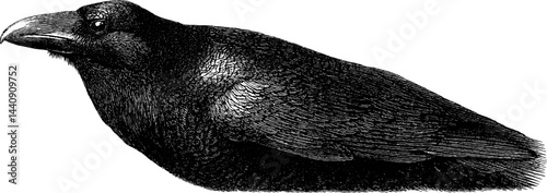 Intricate engraving of a raven with a lock: symbolic illustration for artistic projects