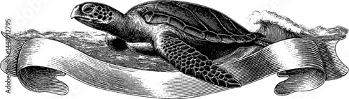 Engraved sea turtle illustration swimming in ocean waves design for posters