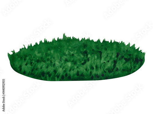 Watercolor hand drawn illustration fresh green grass isolated on a white background. Summer lawn for design, nature landscape. Grassplot. A patch of grass. Spring herb. Organic, bio, eco label