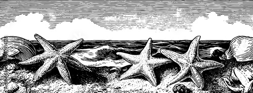 Vintage maritime illustration with starfish and sand dollars on beach